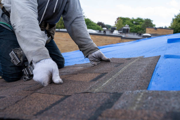 Gutter Installation and Roofing in Mead, WA
