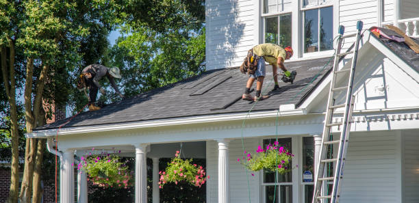 Best Roof Gutter Cleaning  in Mead, WA
